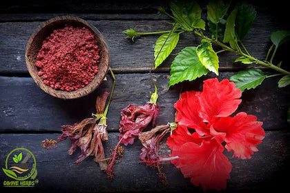 The Blossoming Benefits of Hibiscus in Skincare