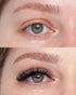O.G. Lashes: Volume Single-Length